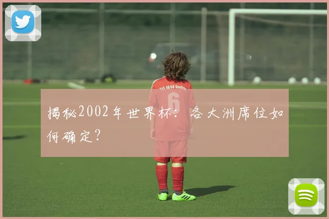 揭秘2002年世界杯：各大洲席位如何确定？
