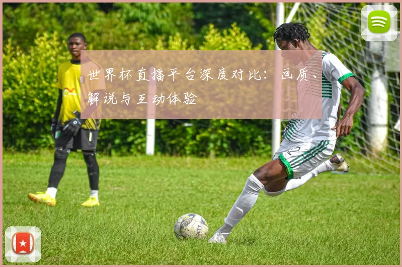 世界杯直播平台深度对比：画质、解说与互动体验