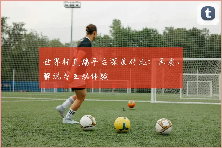 世界杯直播平台深度对比：画质、解说与互动体验
