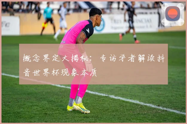 概念界定大揭秘:专访学者解读抖音世界杯现象本质